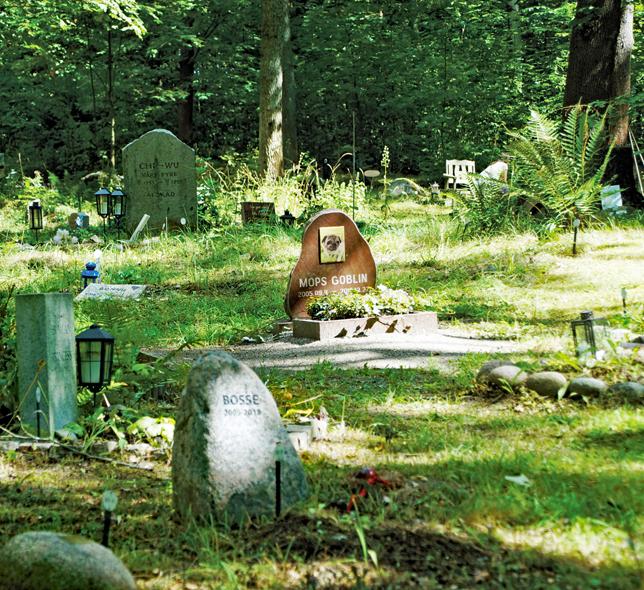 Ruhestätte seit 1870: Tierfriedhof