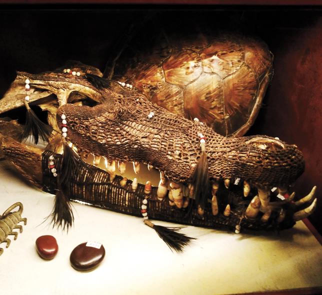 Ein geschmückter Krokodilschädel