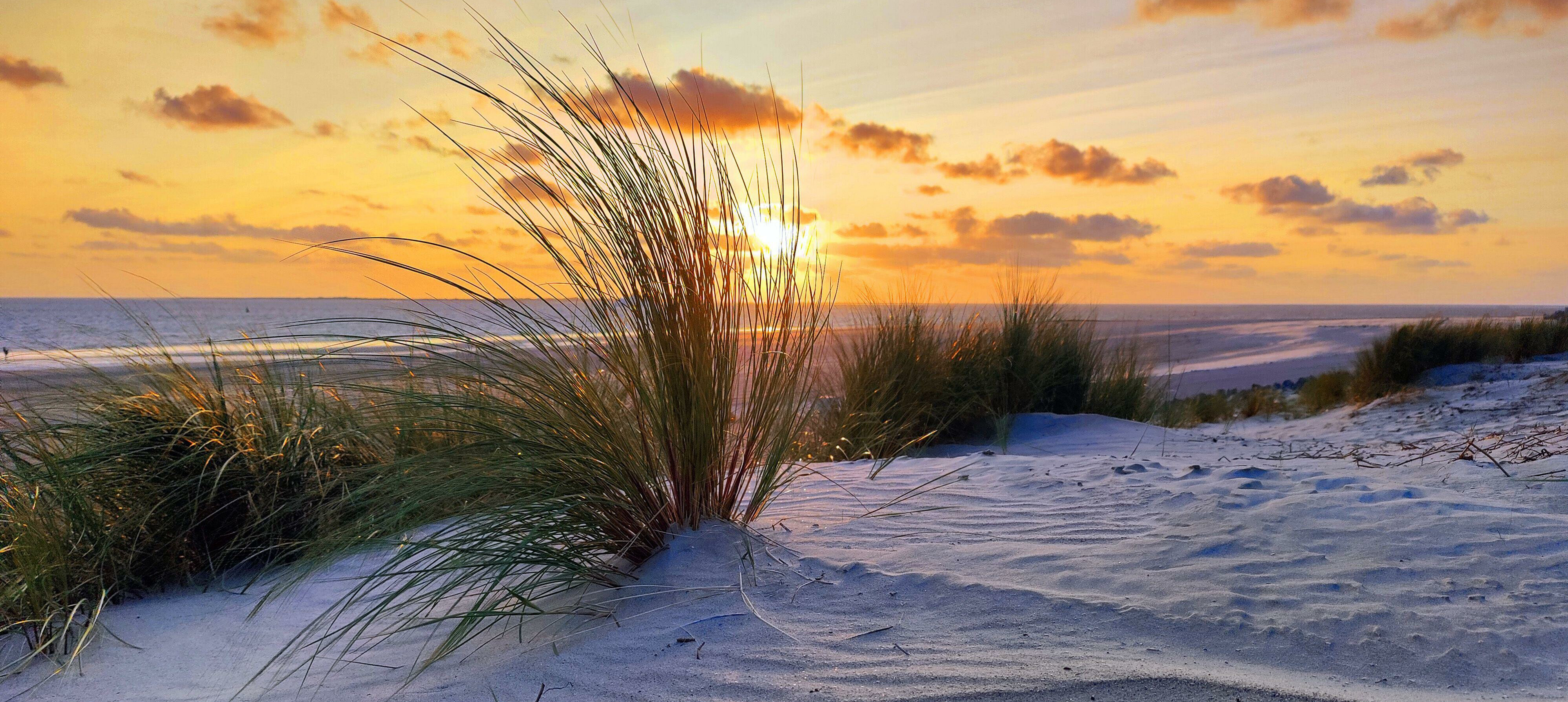 Dünen am Strand von Norderney bei Sonnenuntergang