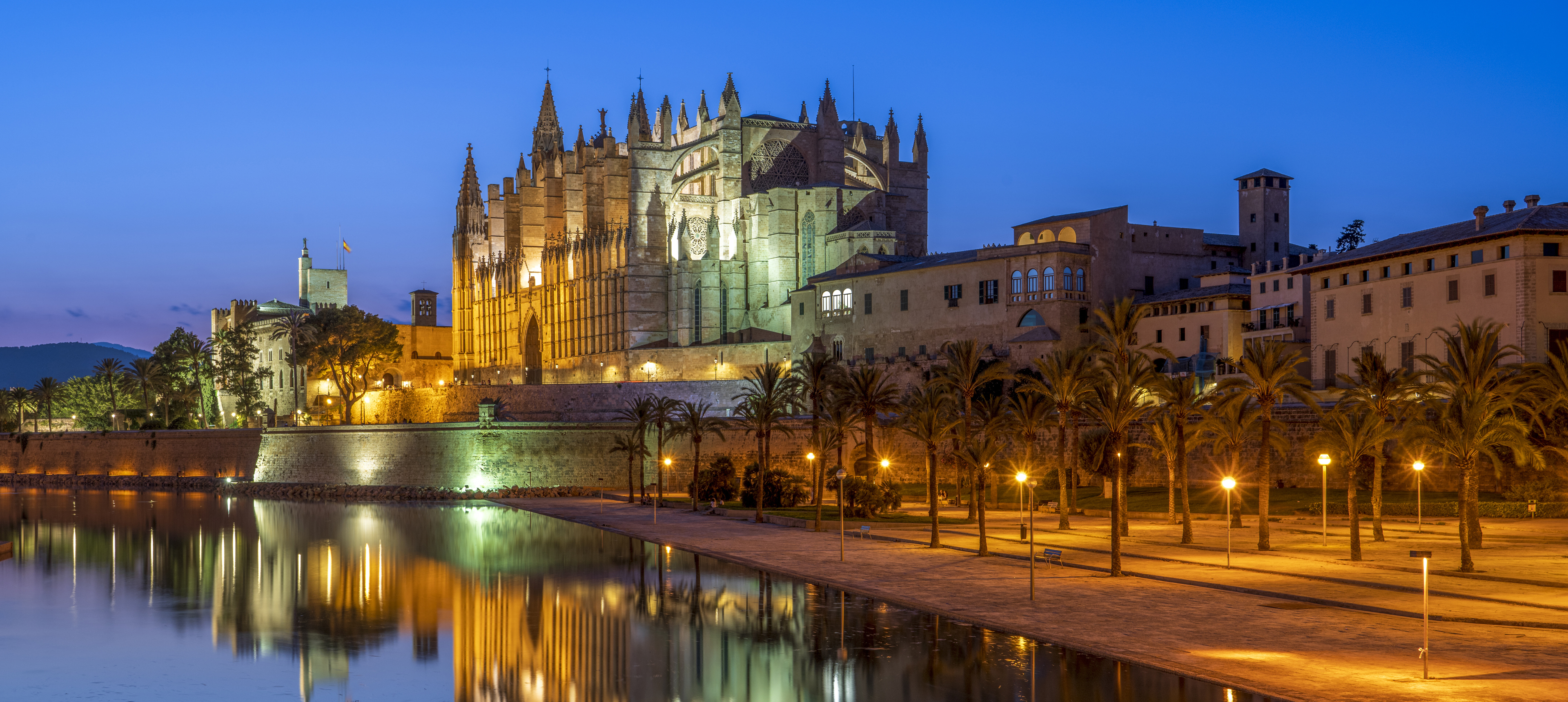 Kathedrale von Palma bei Nacht