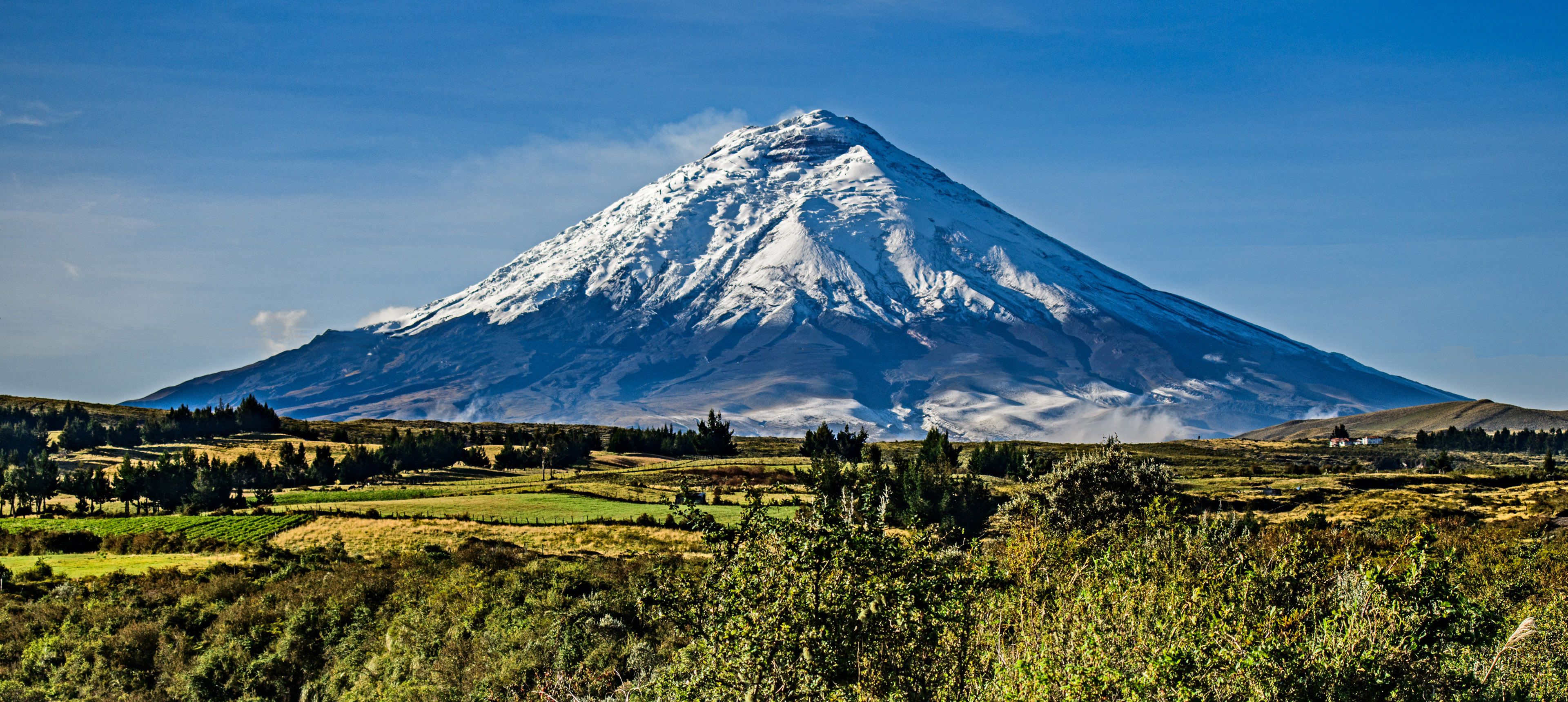 Cotopaxi Vulkan, Ecuador: schneebedeckter pyramidenförmiger Vulkan vor blauem Himmel, im Vordergrund Landschaft in verschiedenen Grüntönen mit einigen Nadelbäumen.